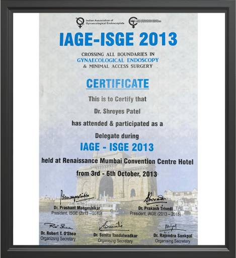 IAGE-ISGE 2013